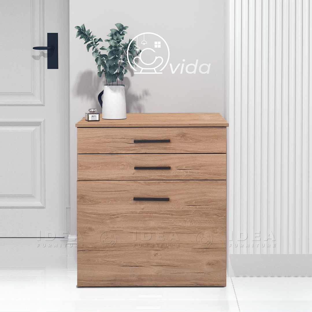 Vida